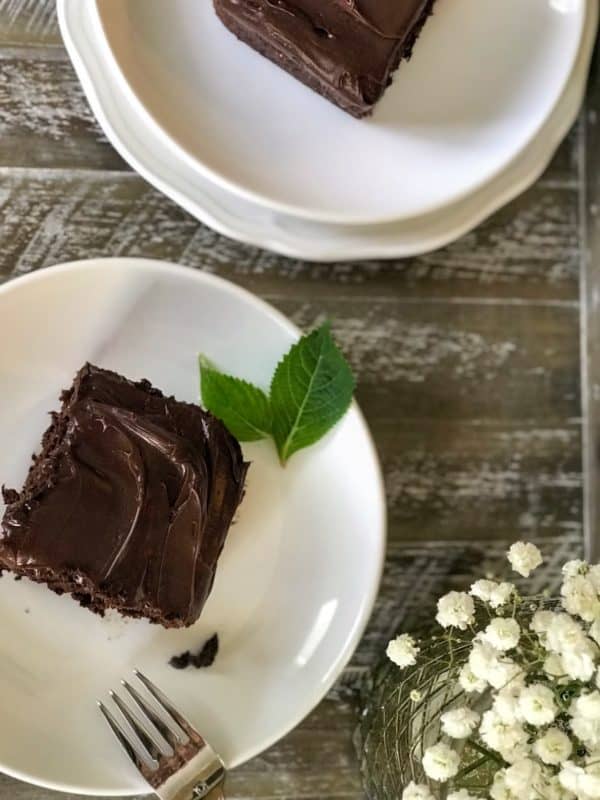 Chocolate Cake on plate with mint leaf