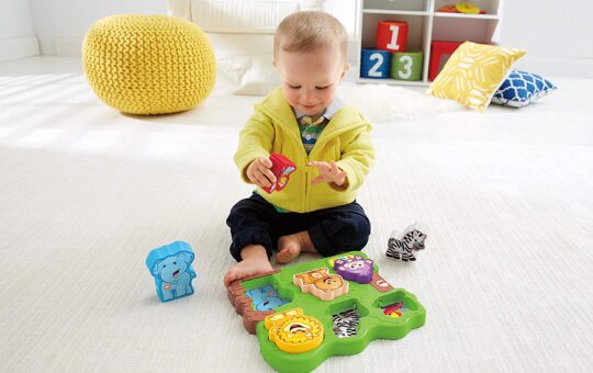 Laugh & Learn Zoo Animal Puzzle