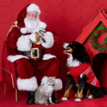 petsmart