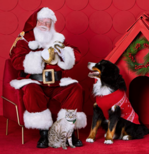 petsmart