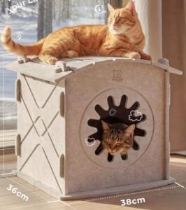 Apasiri Cat House