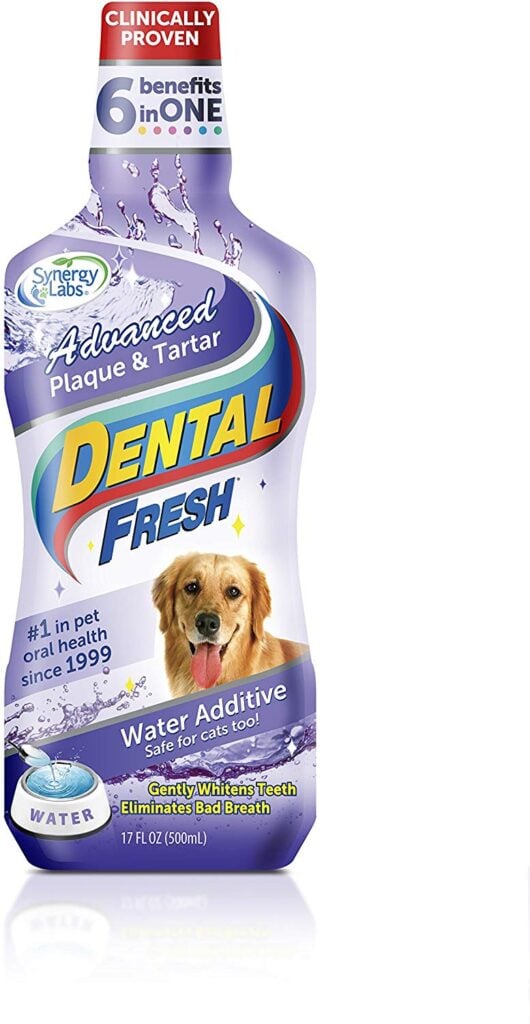 Dental Fresh