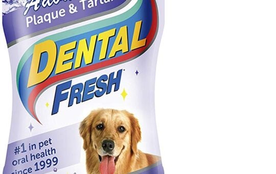 Dental Fresh