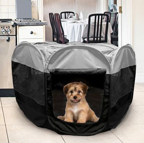 Pet Playpen