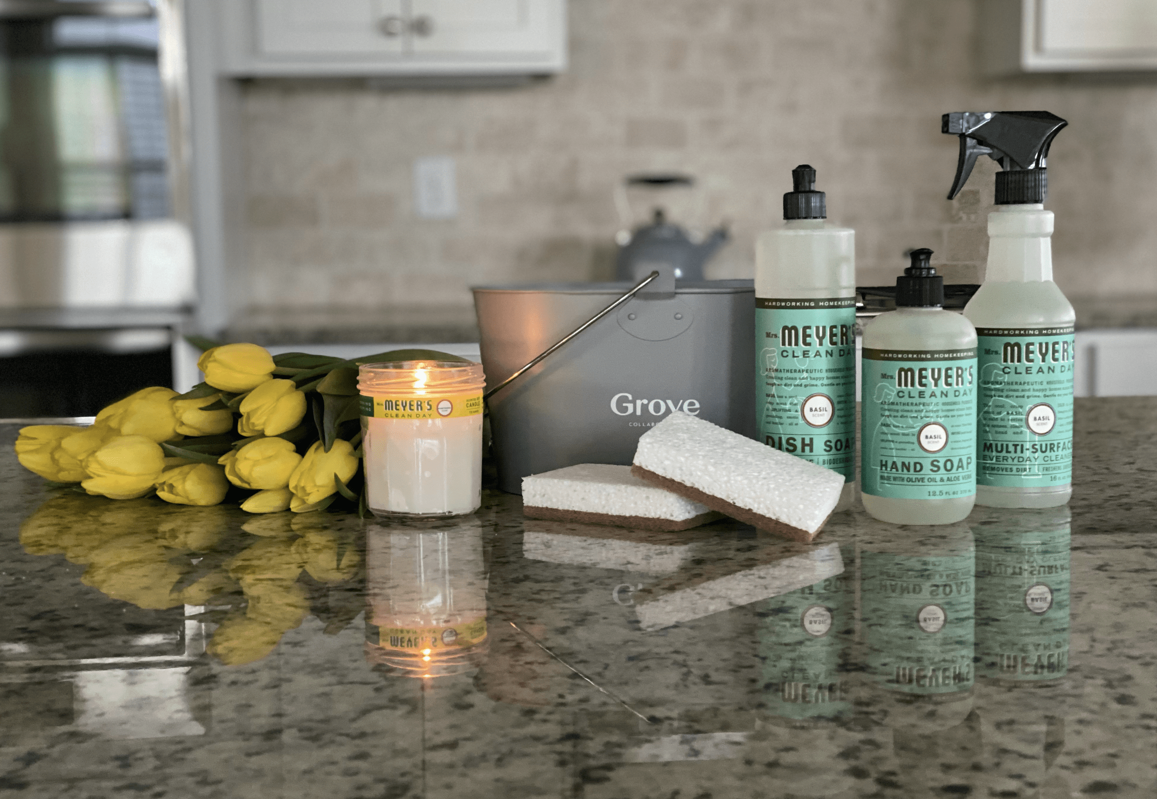 freezer cleaning supplies