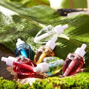 bath body works