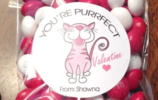 valentine sticker and bag