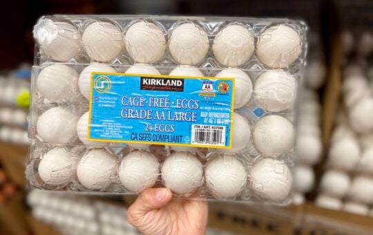 costco eggs