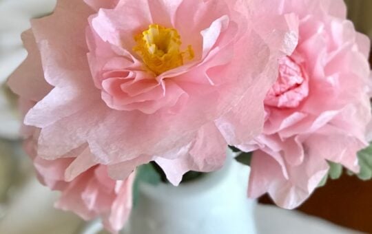 coffee filter flowers