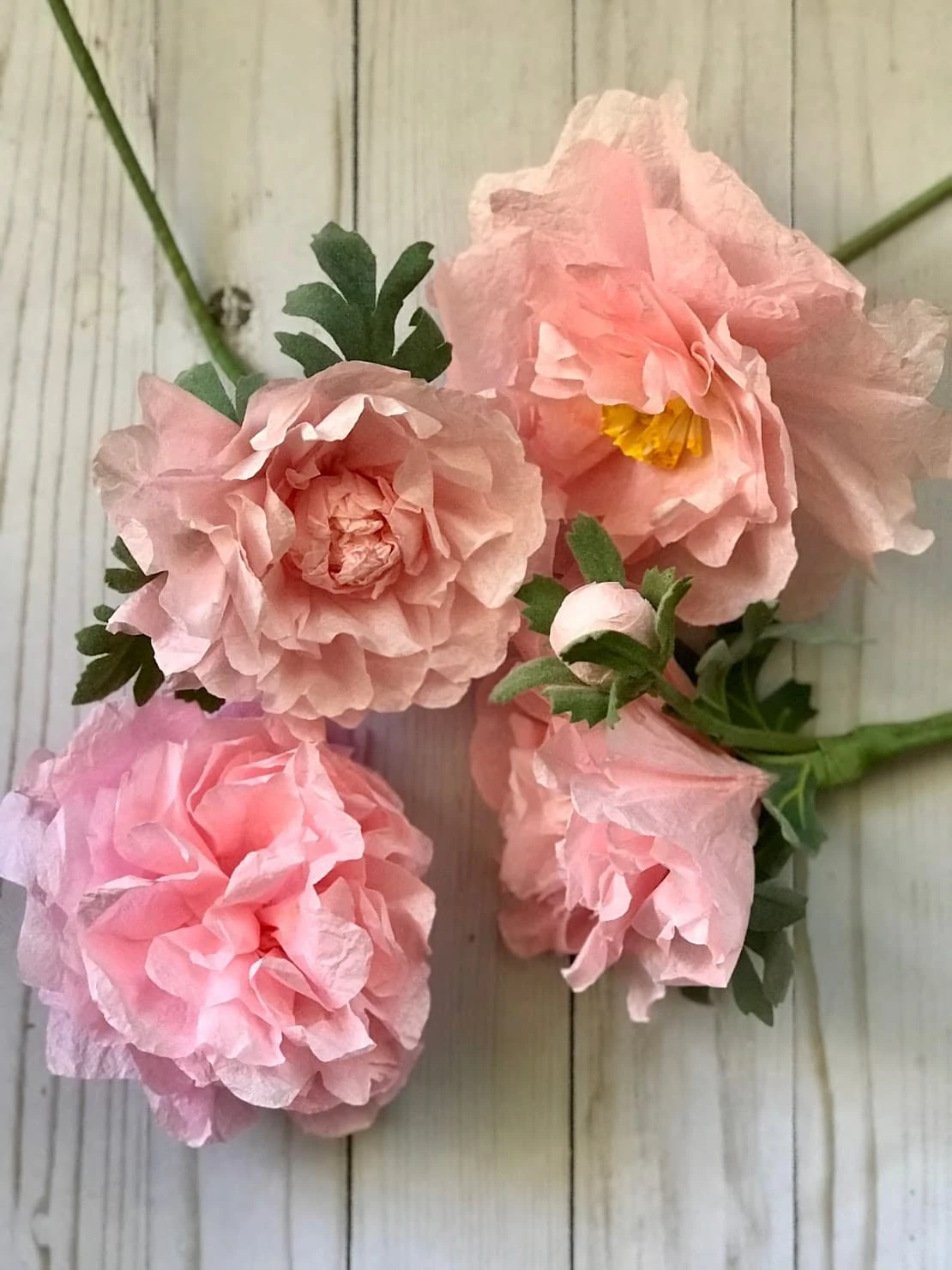 Coffee Filter Carnation Flower DIY