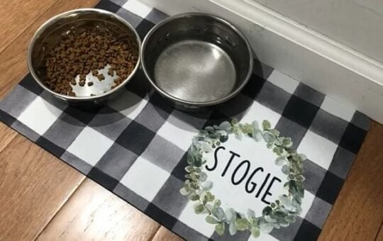 pet mat