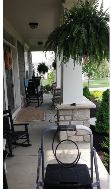 watering system for plants