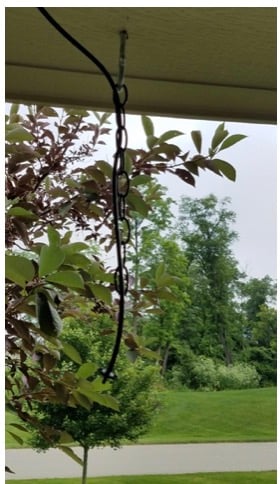 watering system for hanging baskets