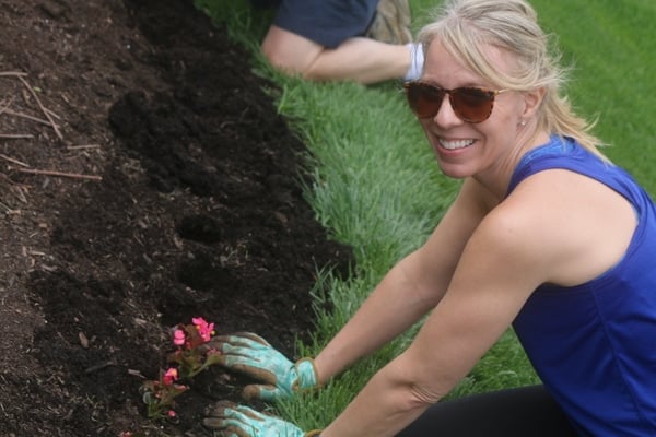 Begonia Care and Planting 