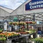 lowe's