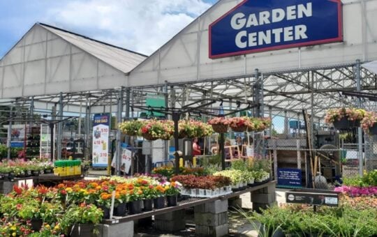 lowe's