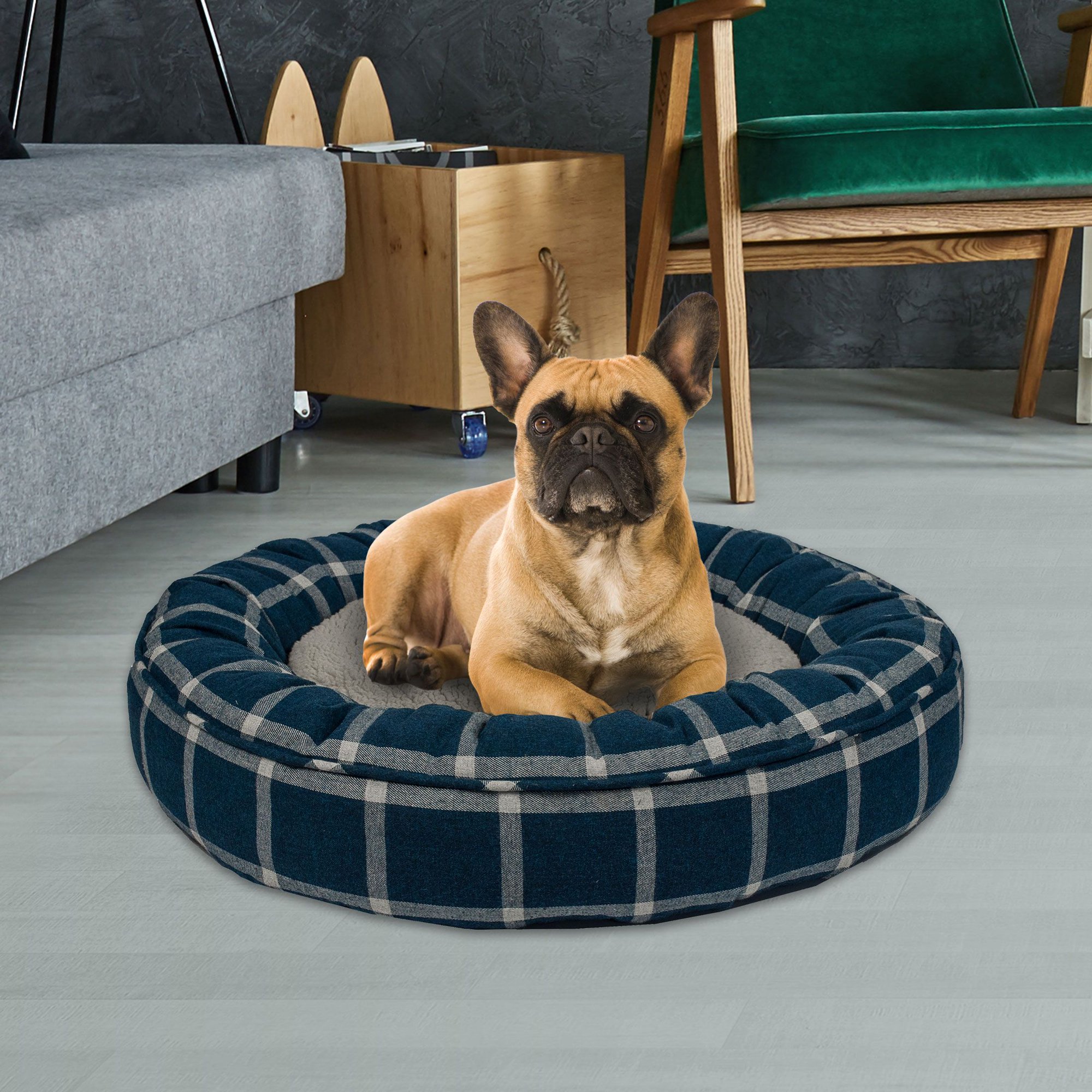 walmart-dog