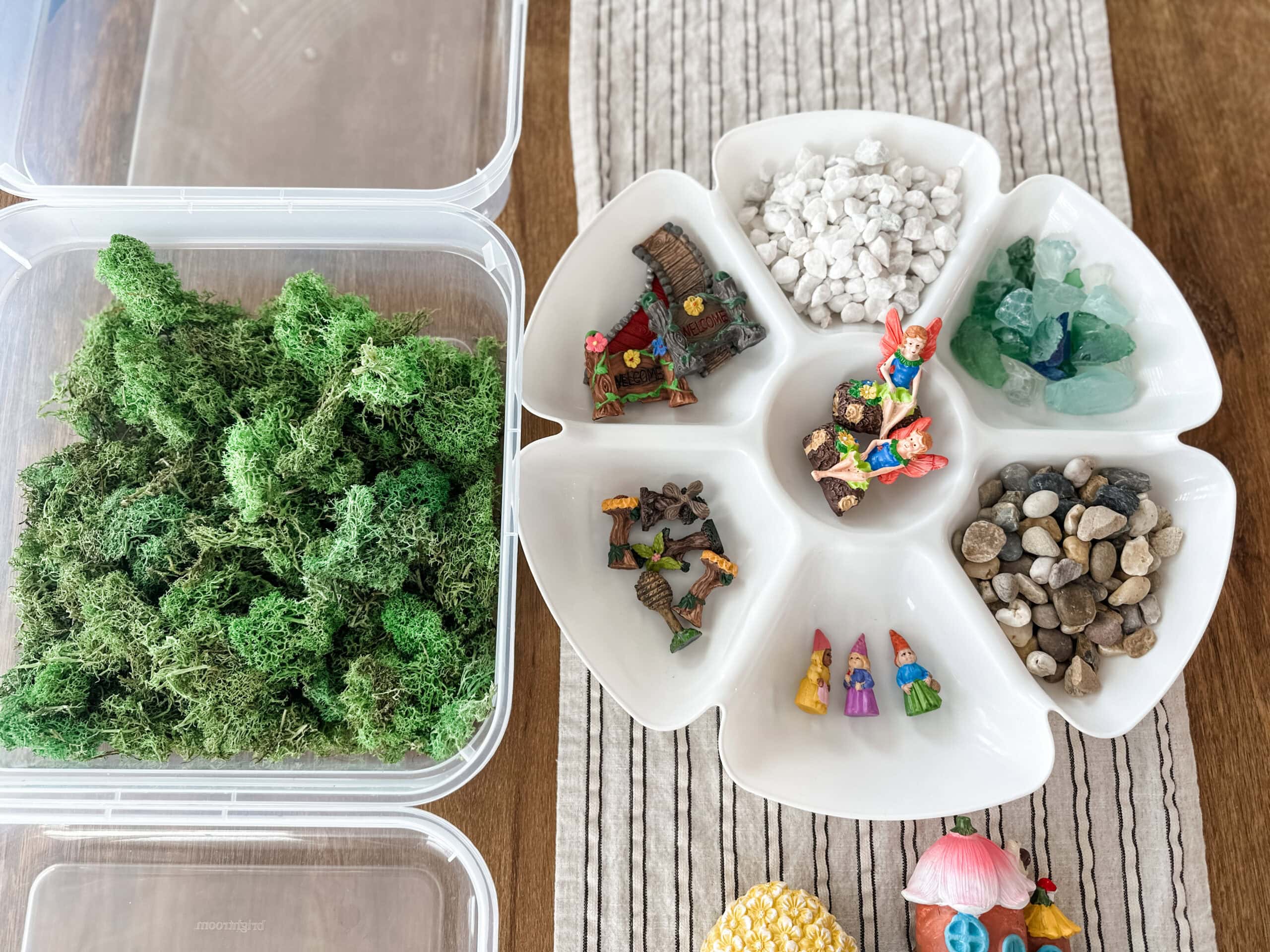 making a fairy garden 