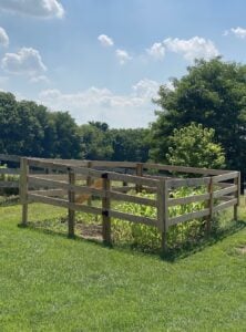 DIY Deer Fence
