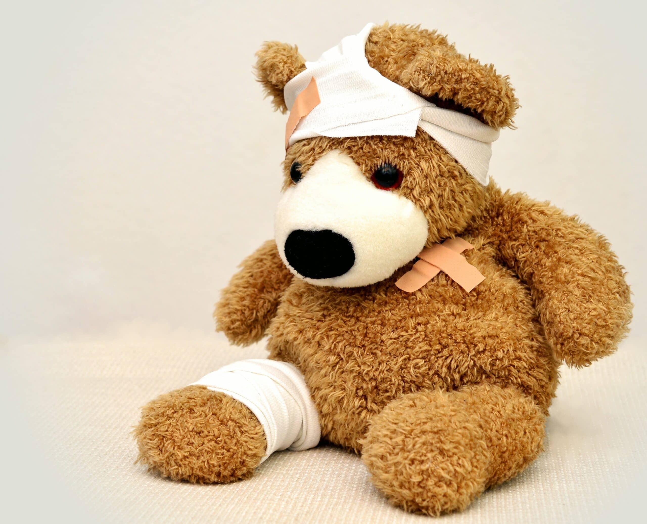 bear