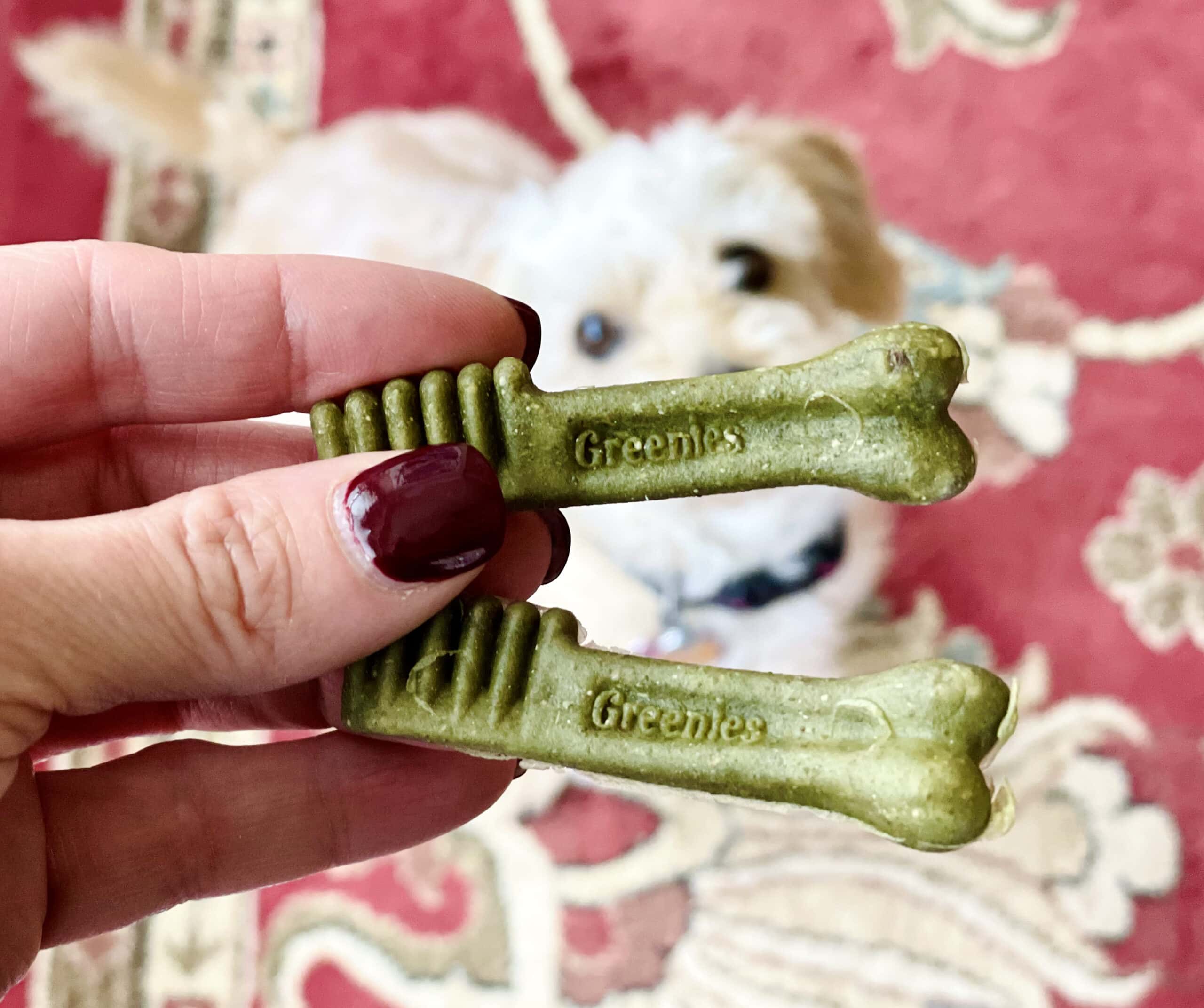 greenies