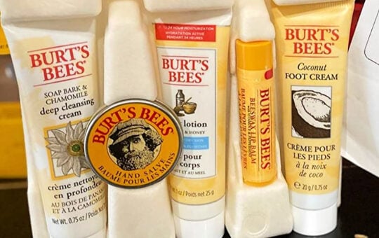burt's bees