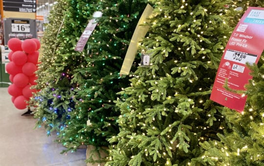 home depot