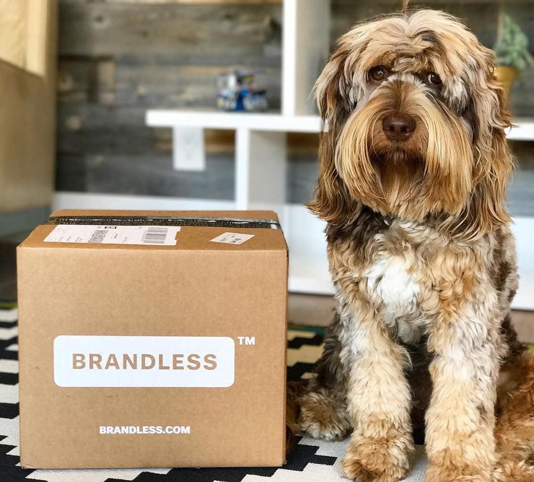brandless
