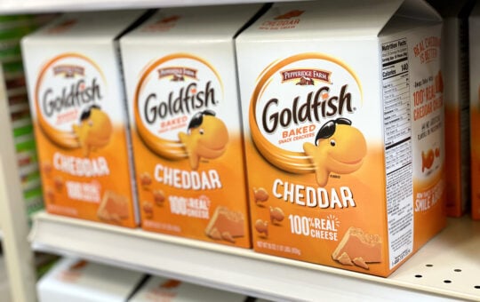 goldfish