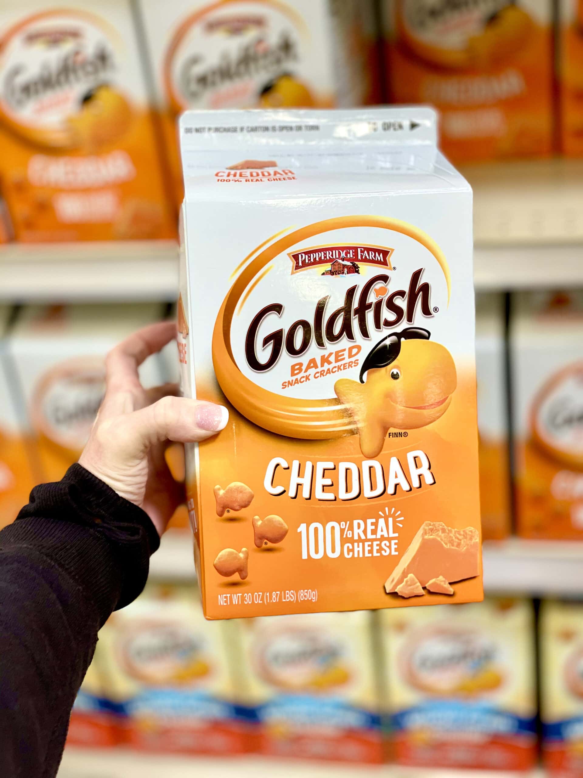 goldfish