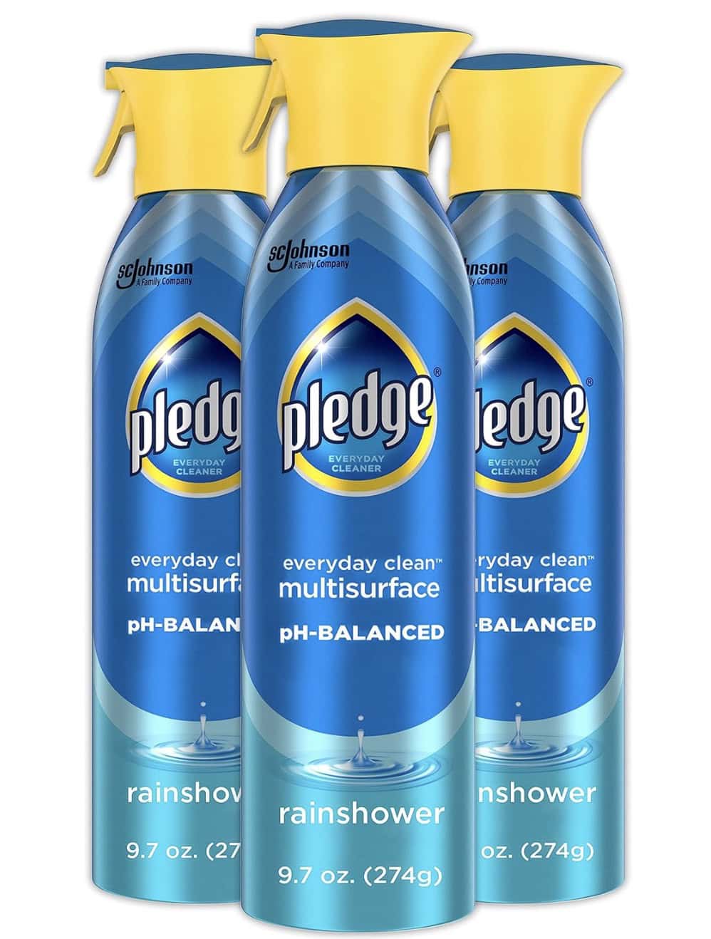 pledge 