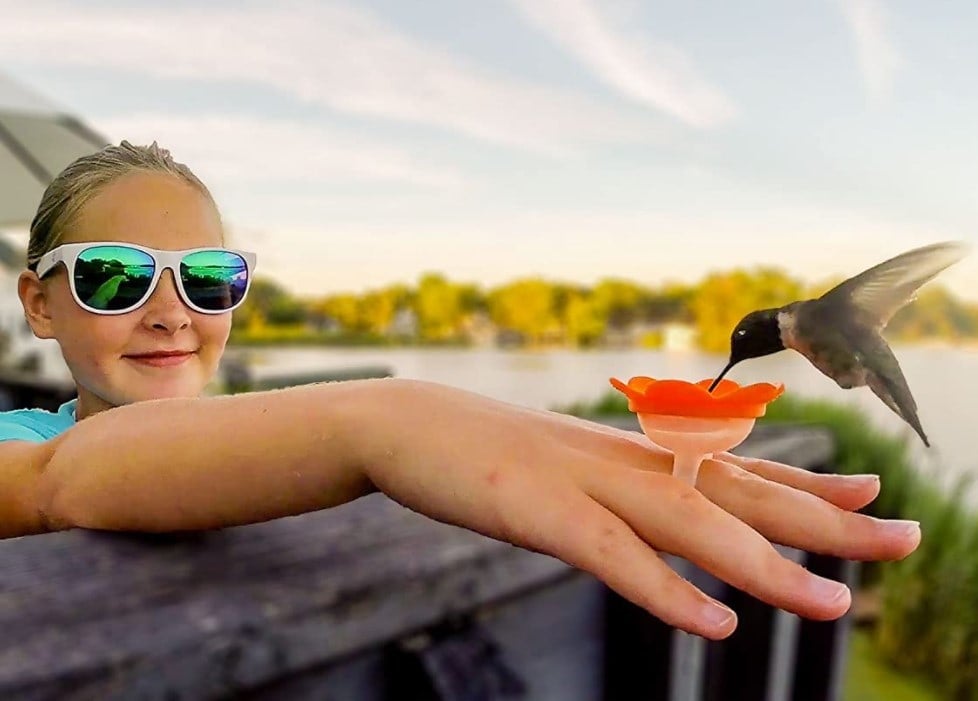 hummingbird feeder rings