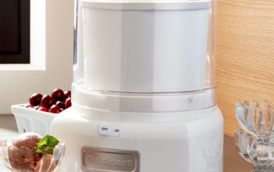 cuisinart ice cream