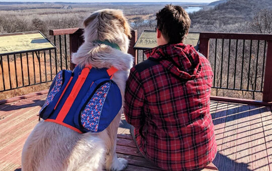 dog backpack