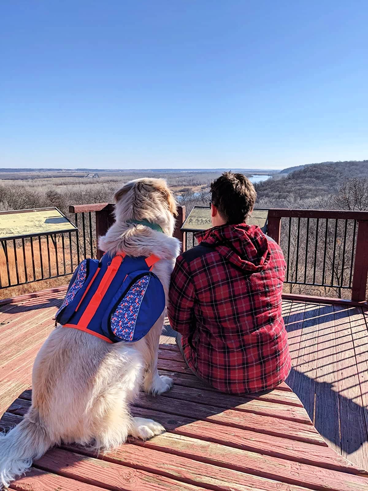 dog backpack