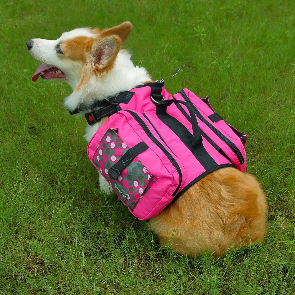 dog backpack