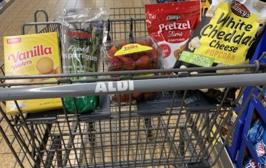 Aldi Shopping Cart