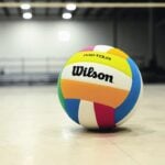 Wilson Pro Tour Indoor Volleyball