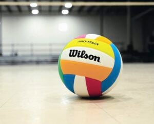 Wilson Pro Tour Indoor Volleyball
