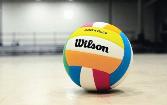 Wilson Pro Tour Indoor Volleyball