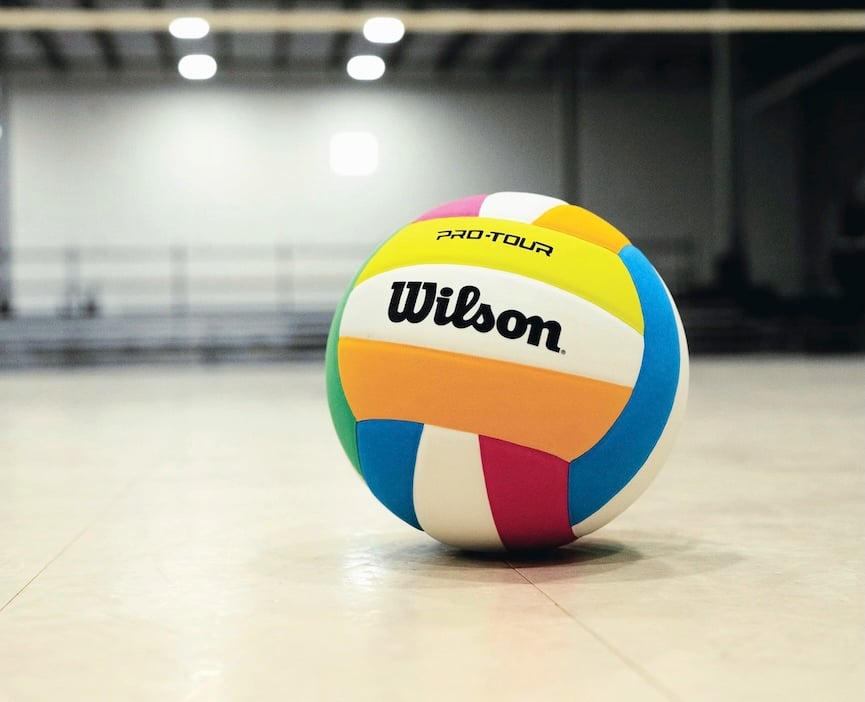 Wilson Pro Tour Indoor Volleyball