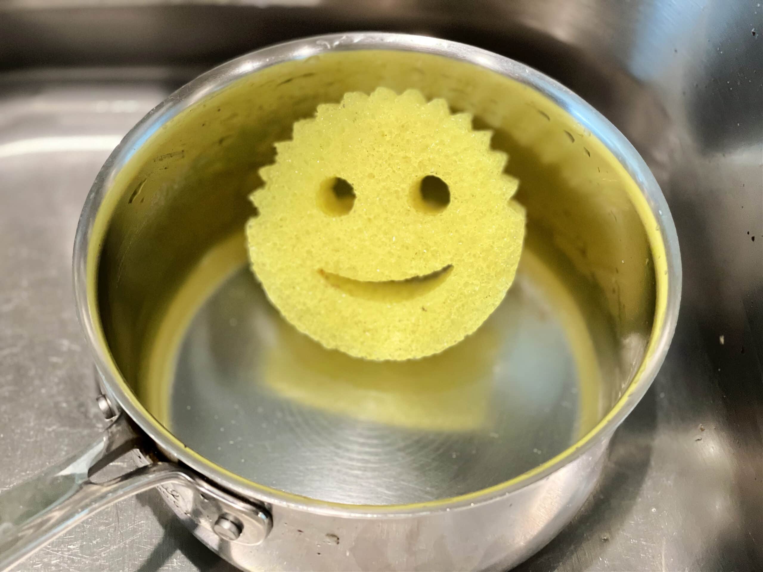 scrub daddy