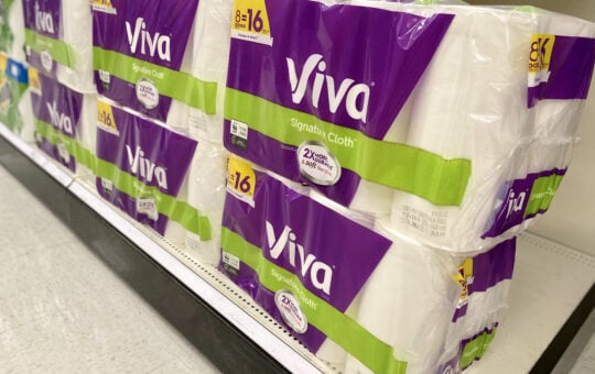 viva