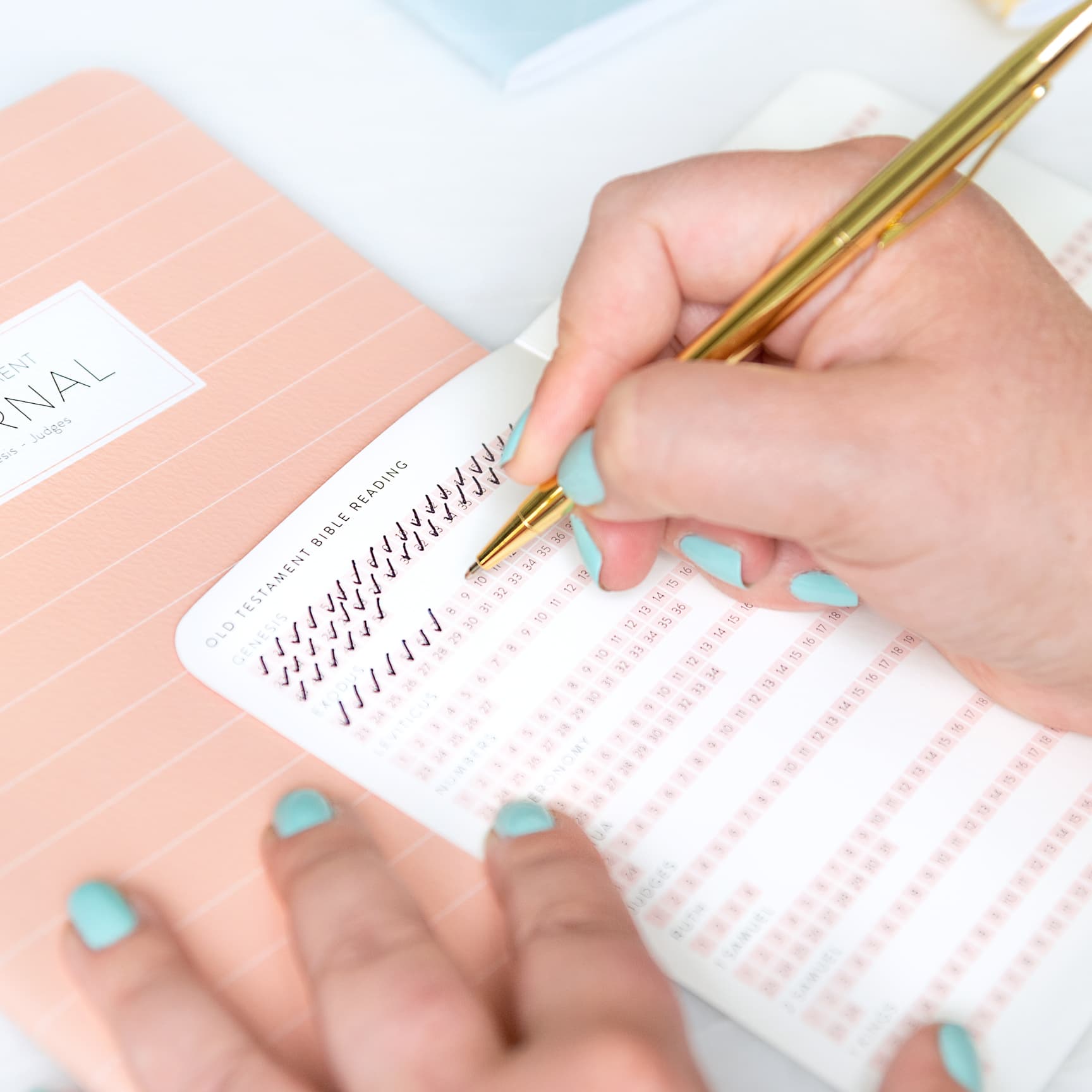 Bible Journal Checklist