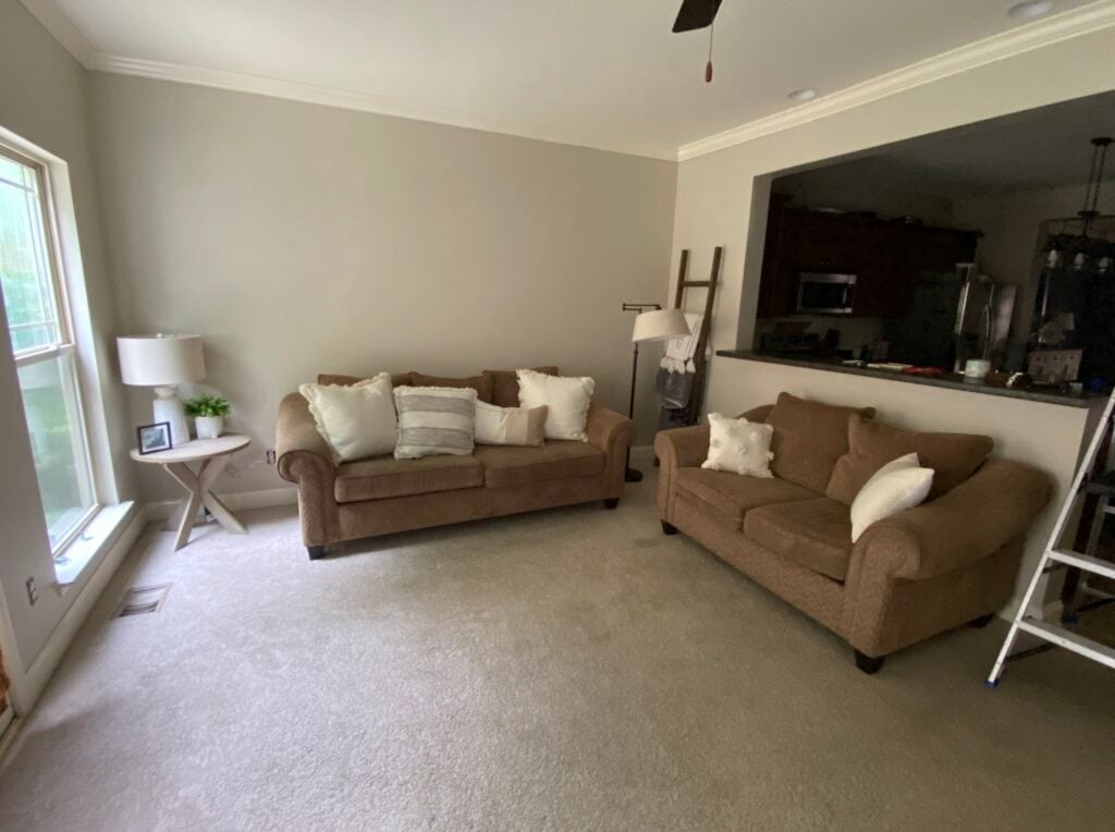 living room painted in gray