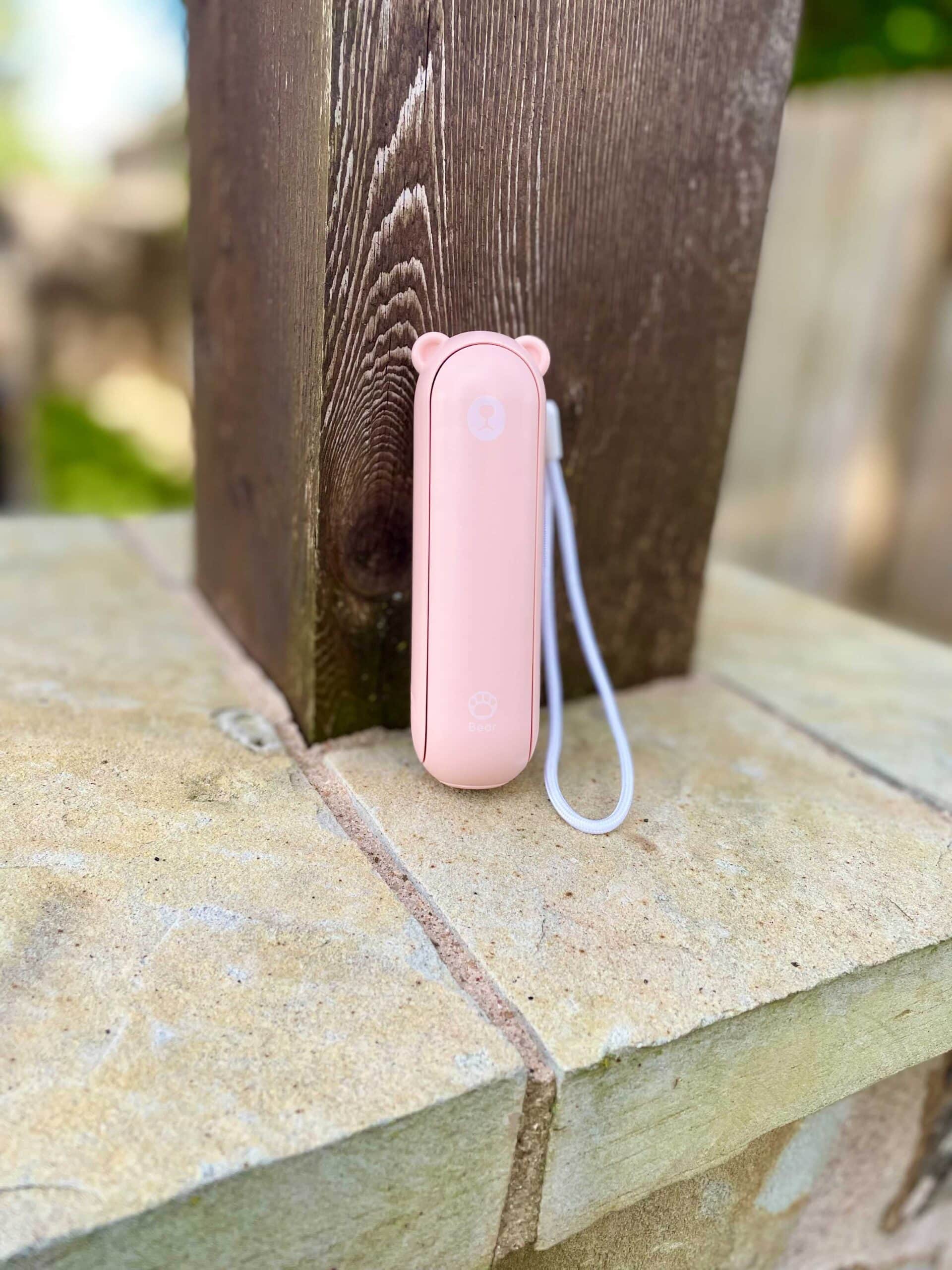 bear 3-in-1 gadget