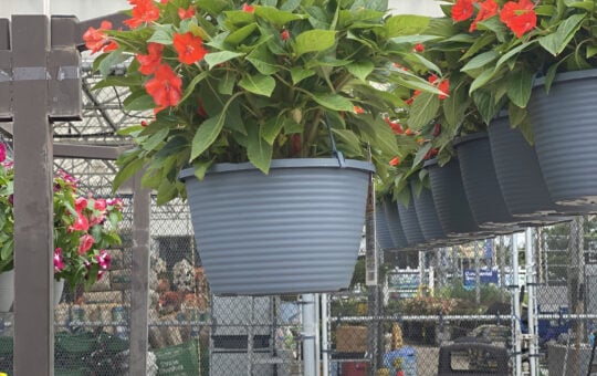 lowe's labor day
