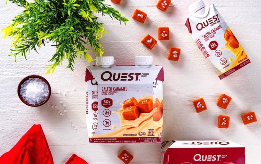 quest protein shake