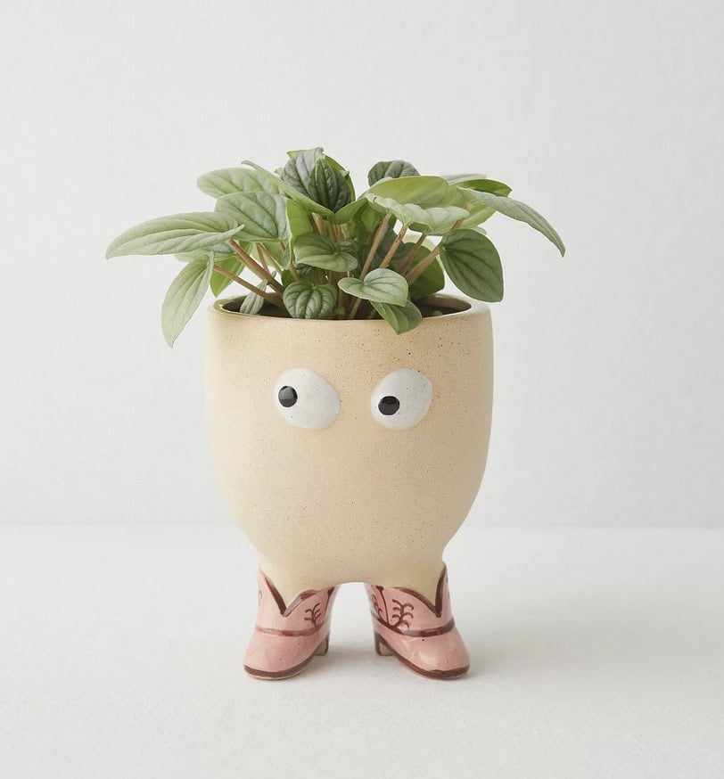 urban outfitters