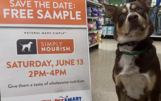 PetSmart FREE Samples